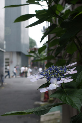 2007_p7038580