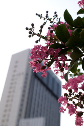 2007_p7068768