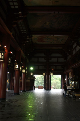2007_p7129102