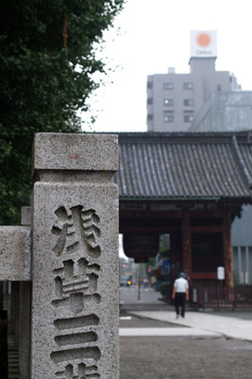 2007_p7129109