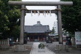 2007_p7129111
