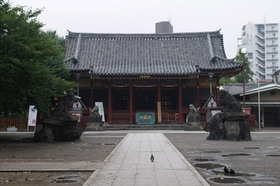2007_p7129114