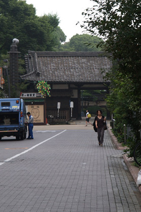 2007_p7129171