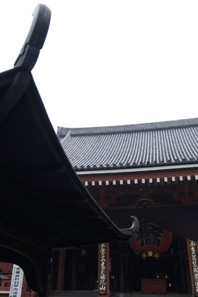 2007_p7129088