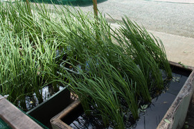 2007_p7169260