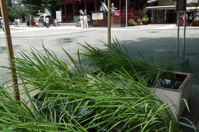 2007_p7169261