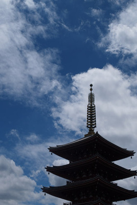 2007_p7169255