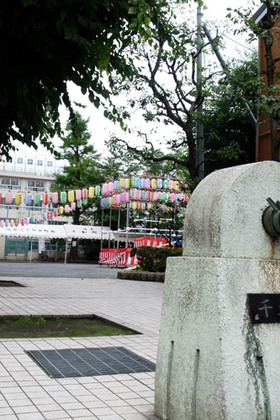 2007_p7199384