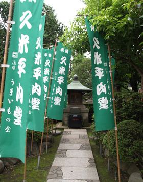 2007_p7199492