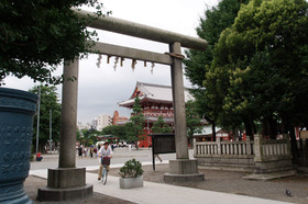 2007_p7199466