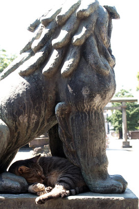 2007_p7249608
