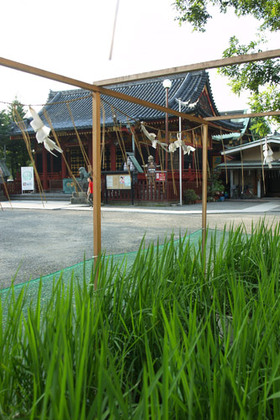 2007_p8010031
