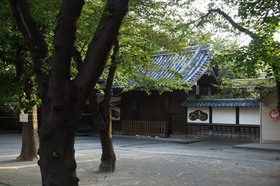 2007_p8010015