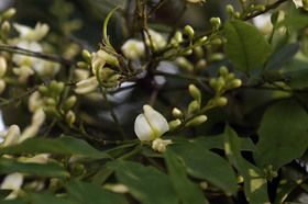 2007_p8010037