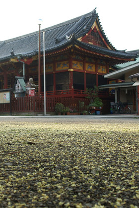 2007_p8010057