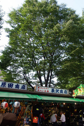 2007_p8040095