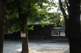 2007_p8040100