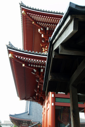 2007_p8040109