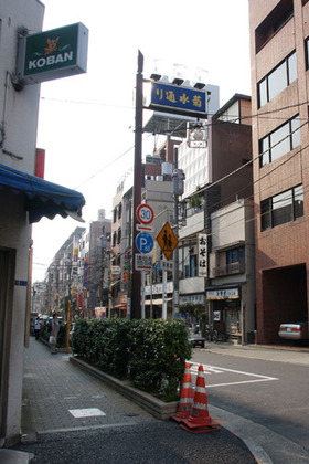 2007_p8040067