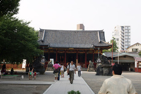 2007_p8040134