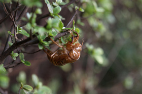2007_p8040172