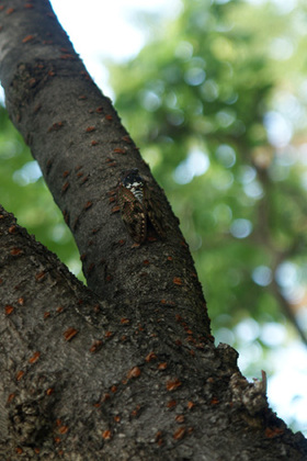 2007_p8040178