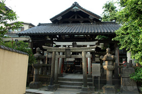 2007_p8040147