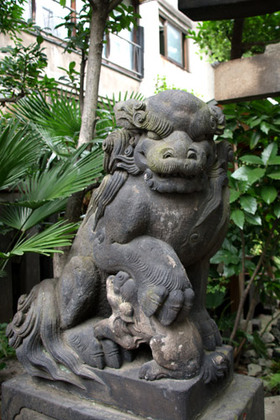 2007_p8180762
