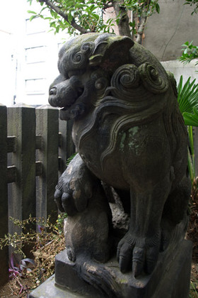 2007_p8180763