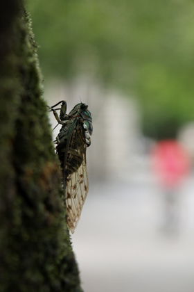 2007_p9022324