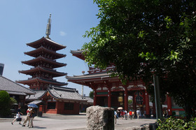 2007_p8221157