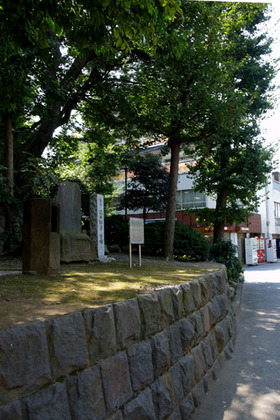 2007_p8221186
