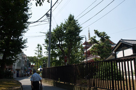 2007_p8221187