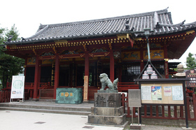 2007_p9022302