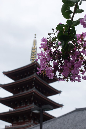 2007_p9022272