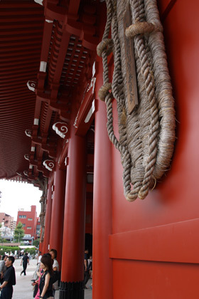 2007_p9022243