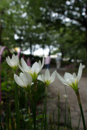 2007_p9022313