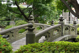 2007_p9022265