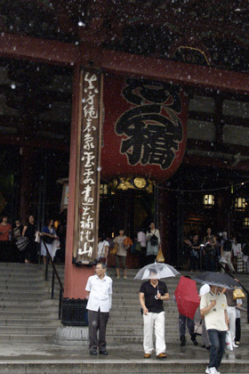 2007_9119071