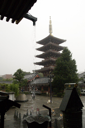 2007_9119081