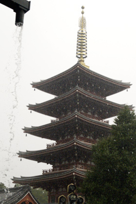 2007_9119086