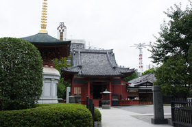 2007_p9022267