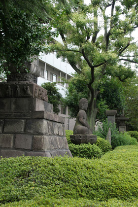 2007_p9022278