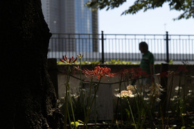 2007_9169196