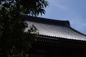 2007_9169283