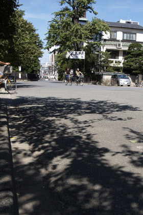 2007_9169286