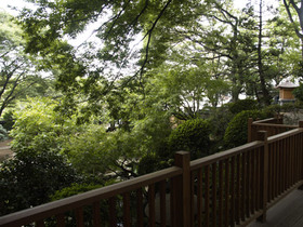 2007_a131623