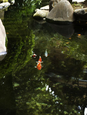 2007_a131640