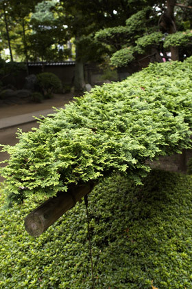 2007_a131651
