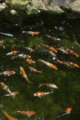 2007_a131657